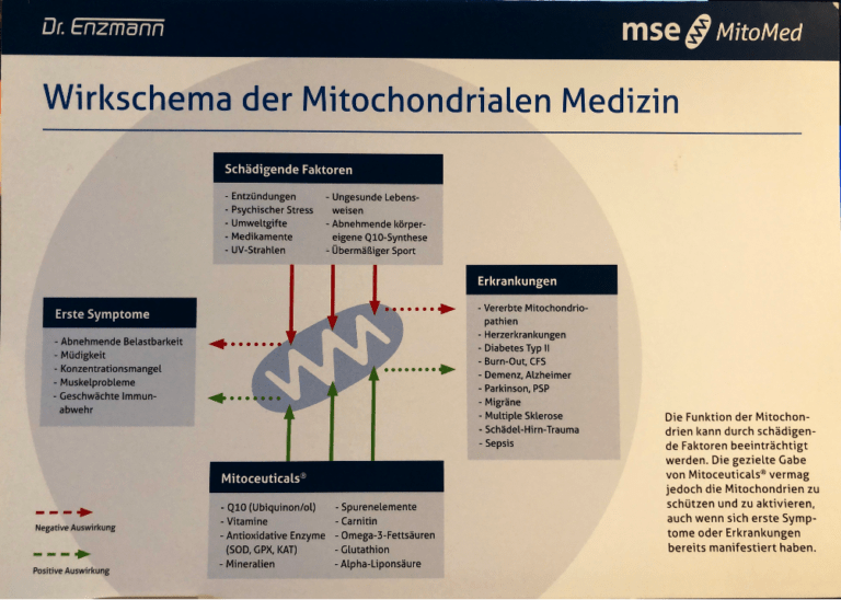 mitochondriopathie_heilpraktiker_hamburg
