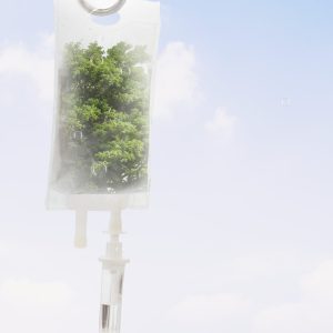 Fresh air from trees in IV bag earth day media remix